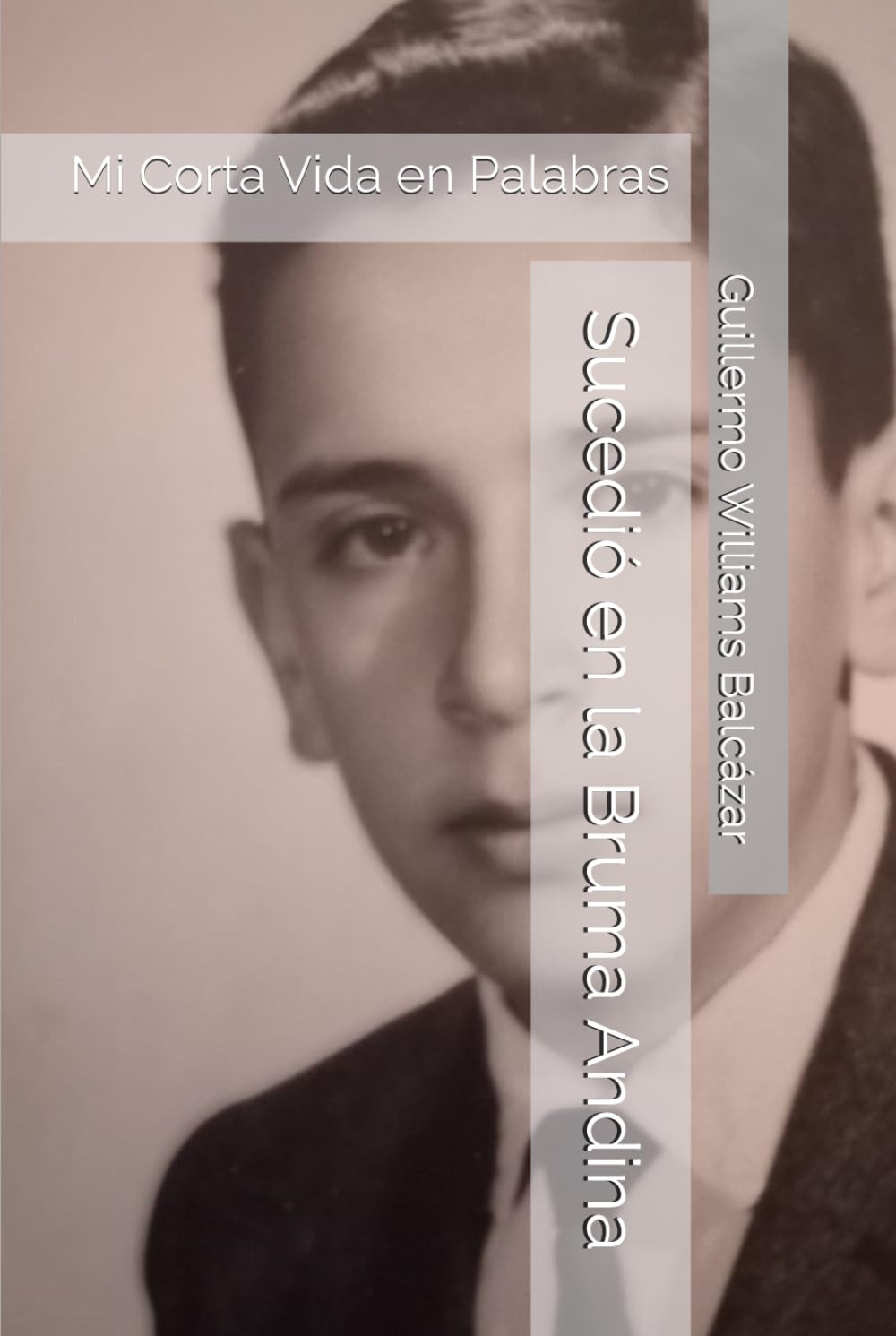 Sucedió en la Bruma Andina: Mi Corta Vida en Palabras
