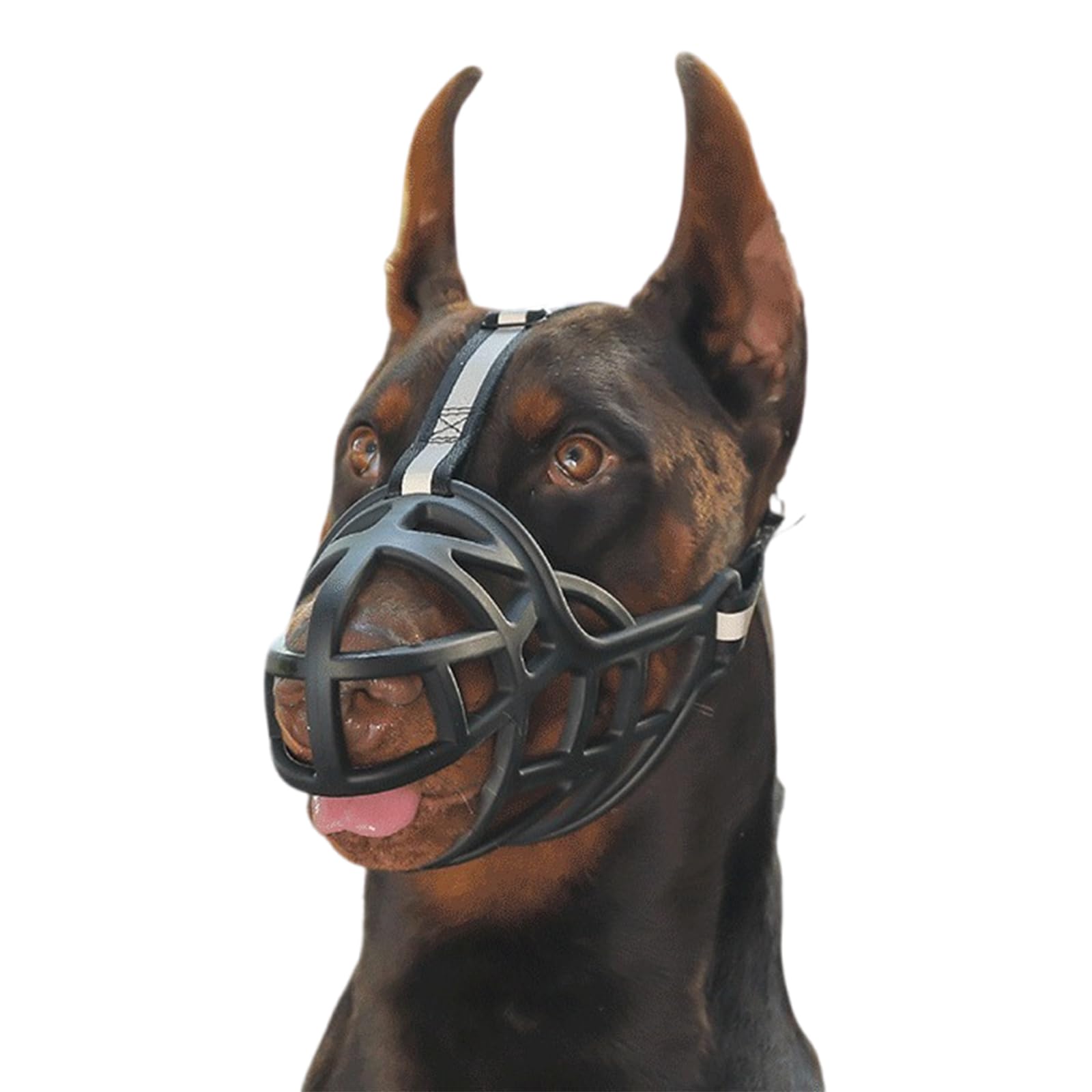 Bozal for Perros antimordeduras, Suave, Talla Mediana, Transpirable, Ajustable, diseño humanizado, Permite jadear y Beber(No. 1)