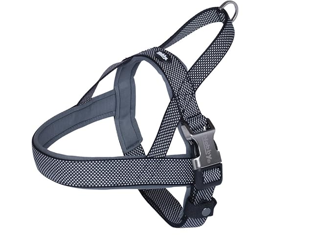 Nobby Vajilla Noruego Classic Preno Royal Gris B: 20 mm; L: 58-69 cm + 54 cm