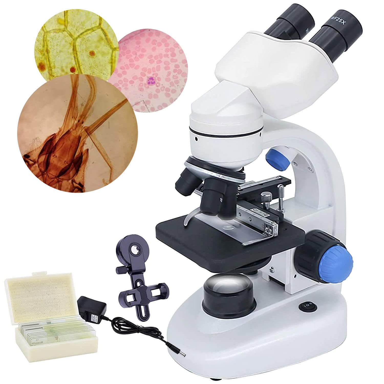 Buy Binocular Microscope for Adults, 40X1000X Lab Compound Microscope