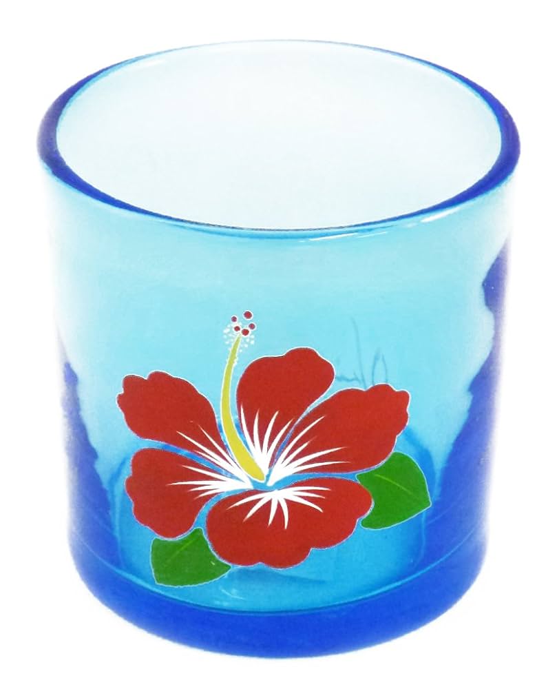 琉球漆工　沖縄　ハイビスカス　絵皿 琉球漆器~ハイビスカス絵柄銘々皿5枚セット E - メルカリ