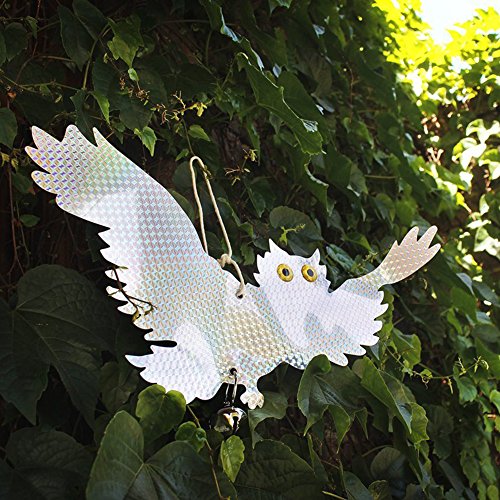 Bird Repellent Device,Owl Bird Scare Repellent Kit-8PCS/Set Fake Owl Shaped Bird Scare Repellent Kit Reflective Hanging Device Holographic Reflective Deterrent With 15.7 * 7.8in
