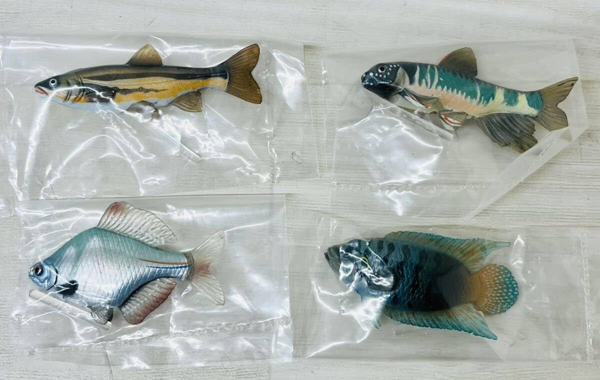 Amazon.co.jp: YUjIN 原色図鑑シリーズ21 原色淡水魚図鑑Ⅰ