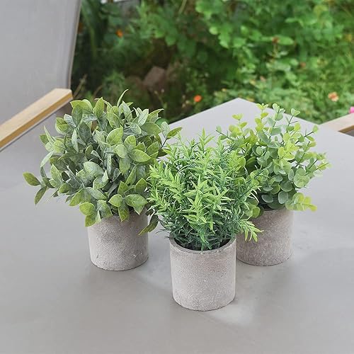 Miniatura 7 de homEdge Mini eucalipto artificial en maceta, 3 paquetes de plantas de plástico artificial con maceta para el hogar, decoración de escritorio de