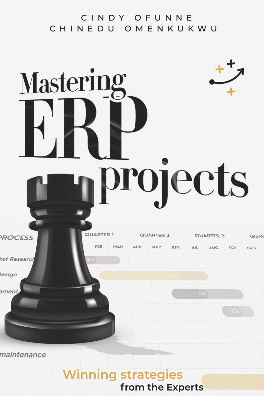 Mastering ERP Projects: Winning strategies from the Experts (Expert Book Series)