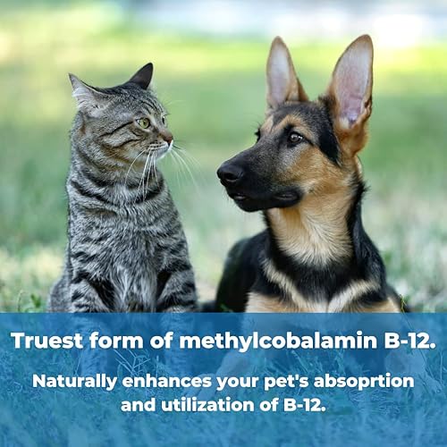 Miniatura 3 de Wonder Laboratories Pet Factor B-12 | Vitamina B-12 en forma de metilcobalamina | Popular en el tratamiento de EPI en perros 180 cápsulas
