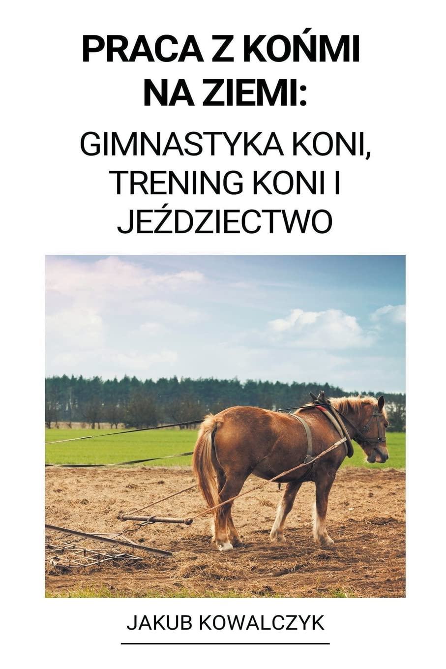 Praca z Końmi na Ziemi: Gimnastyka Koni, Trening Koni i Jeździectwo