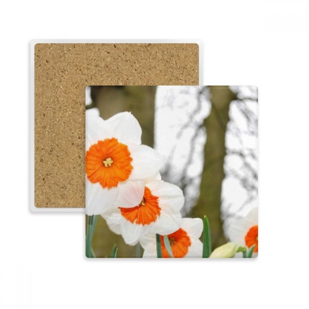 Dessous de verre carré en pierre absorbante avec motif arbre de fleurs blanches
