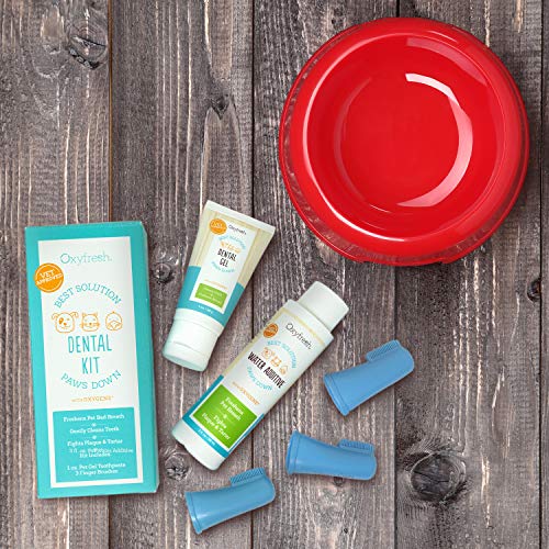 oxyfresh dental gel for dogs