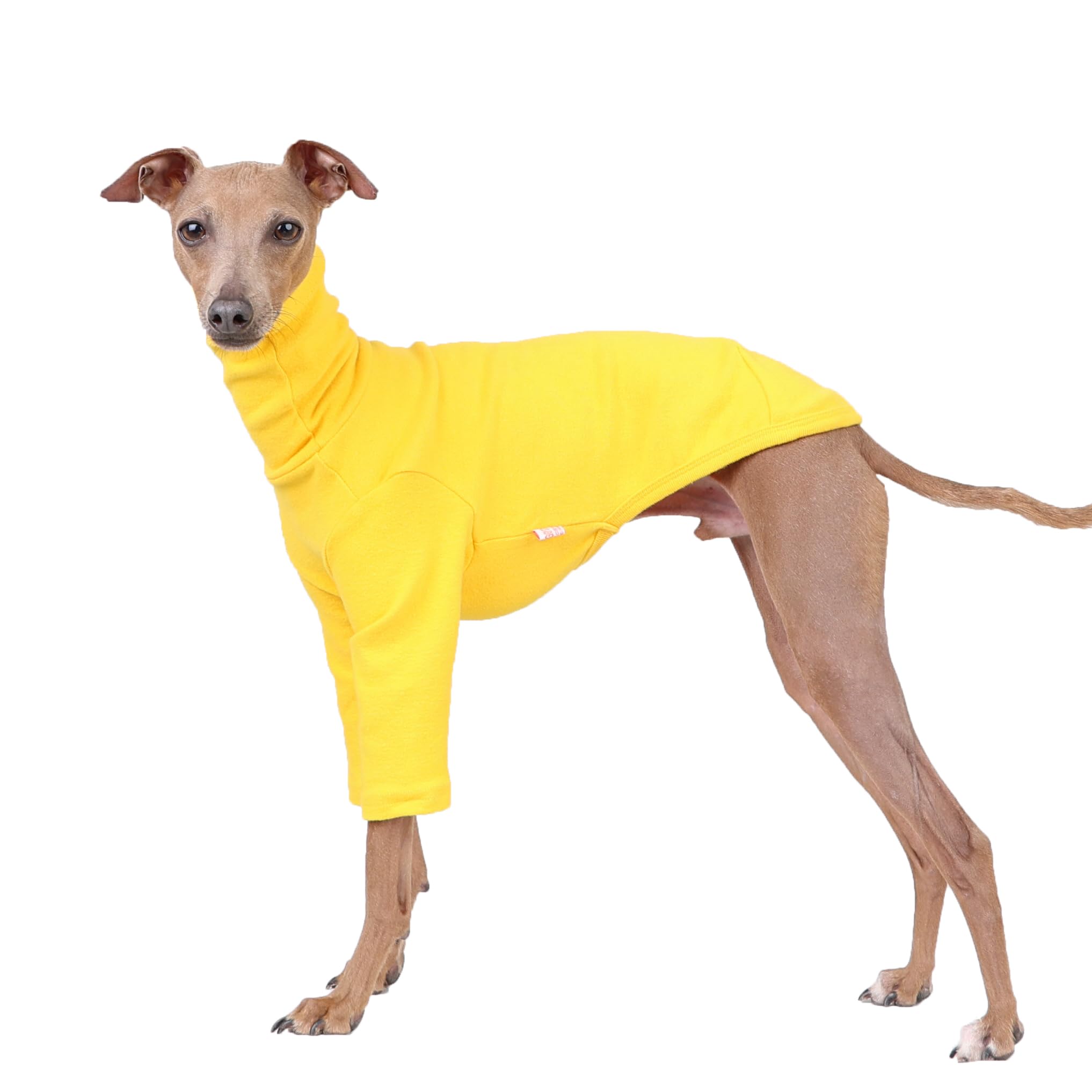 D Doggy Star Italian Greyhound Clothes Flexible T Shirts Whippet for Dogs (XL,Solid Yellow) — image 1