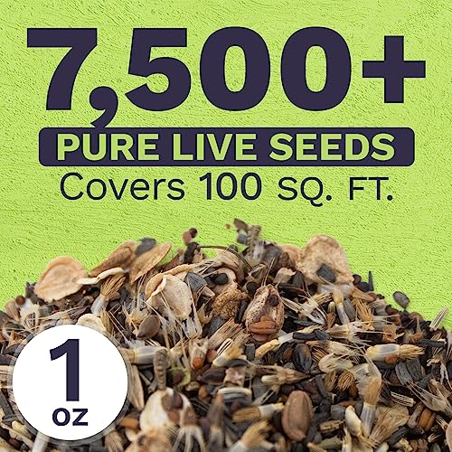 Sweet Yards Seed Co. Drought Tolerant Wildflowers Mix – Extra Large Packet – Over 7,500 Open Pollinated Non-Gmo Seeds – 21 Different Dryland Species! #TOP2