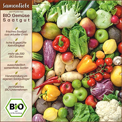 Samenliebe BIO Pflücksalat Samen Lollo Gentilina Grün 500 Samen samenfestes Gemüse Saatgut für Gewächshaus Freiland und Balkon BIO Gemüsesamen - Image 7