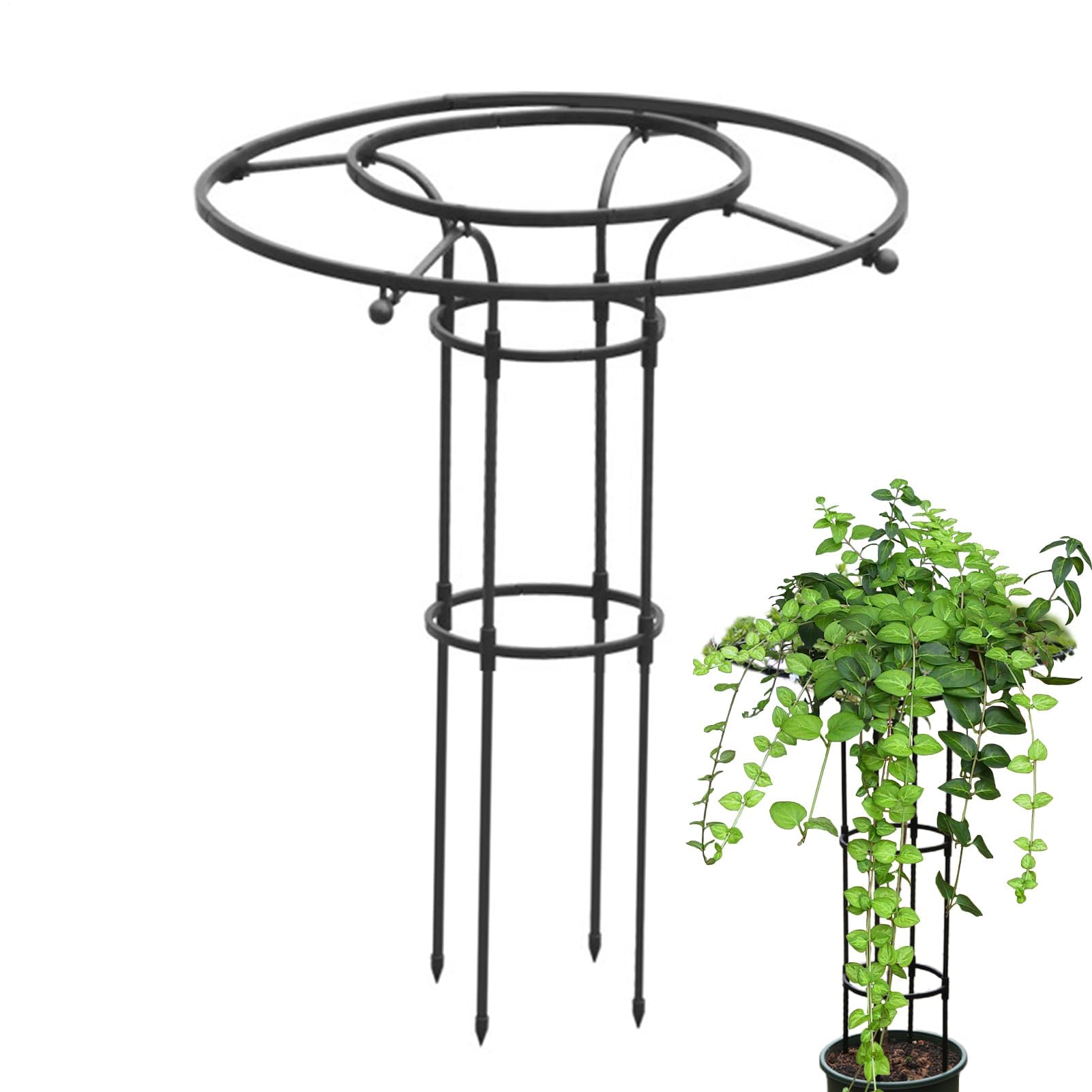 Support pour légumes, fleurs et vignes - Créez un mur végétal sur votre terrasse ou balcon