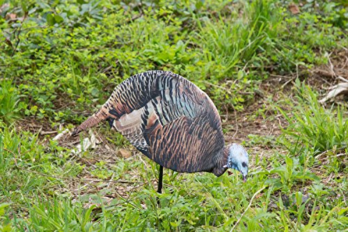 MONTANA DECOY Dinner Belle Hen Decoy, Model:0043 , Black - Thumbnail 3