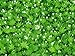 Sweet Woodruff Herb - Dried, Cut, Natural Galium Odoratum - Net Weight: 1oz/28g