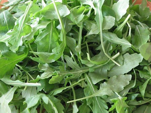 Dirt Goddess Super Seeds~ Arugula Seeds (1 lb) 165,000 Seeds