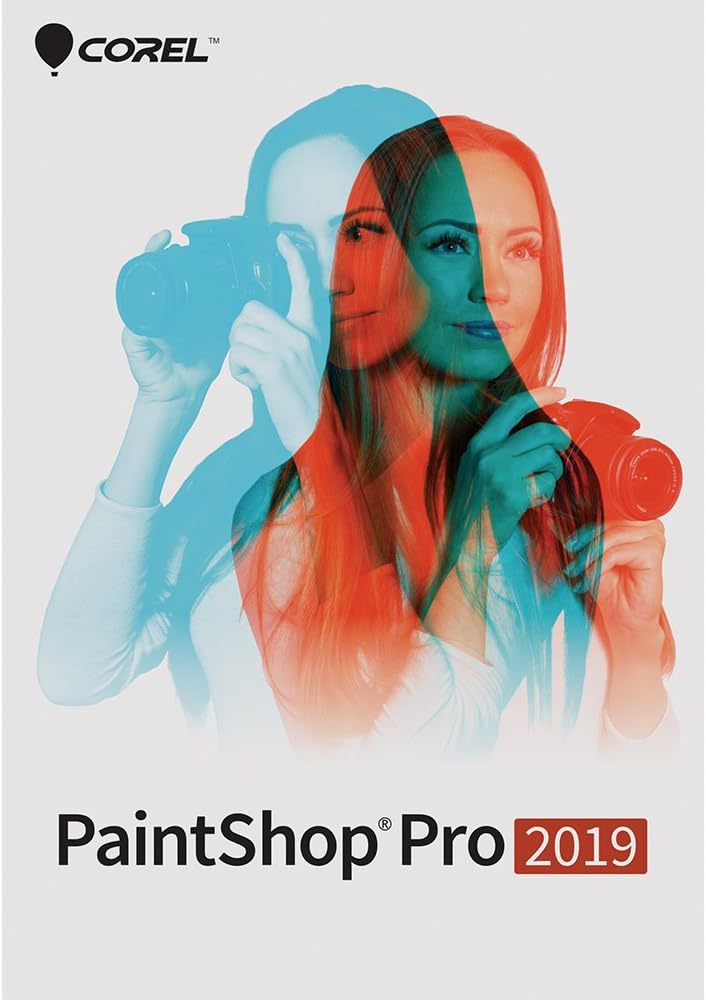 PaintShop Pro 2019 - Photo Editing [PC Download] [Old Version]