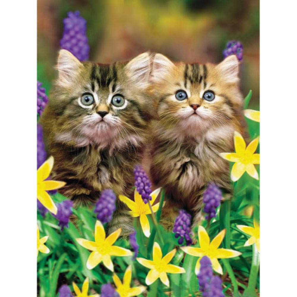 Peinture diamant 5D chat et fleurs | Kit broderie mosaïque 50x60 cm