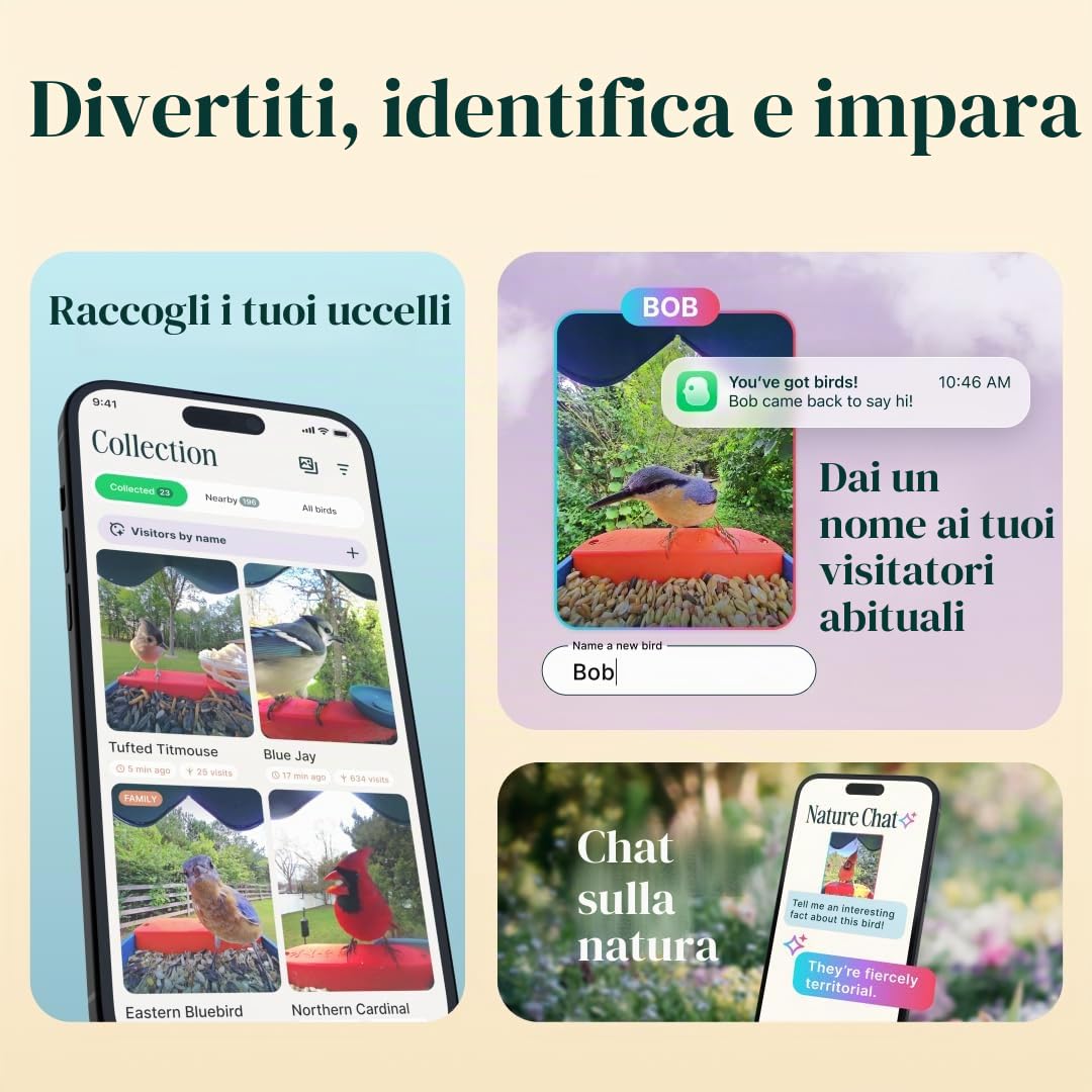 Bird Buddy - Mangiatoia Intelligente per Uccelli Blu con Pannello Solare 2.0