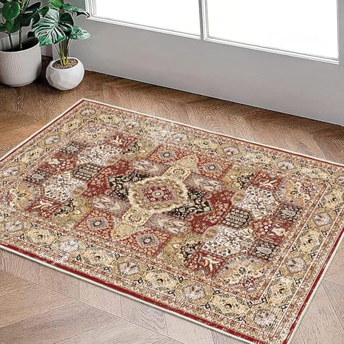 DGJCS 玄関マット おしゃれ ふわふわ 洗面所 脱衣所 60*90 ラグ 滑り止め付き 速乾 吸水 抗菌 消臭 丸洗いOK 屋内 家庭用 浴室足ふきマット 浴室 バスマット ペルシャ風 ペルシャ絨毯風