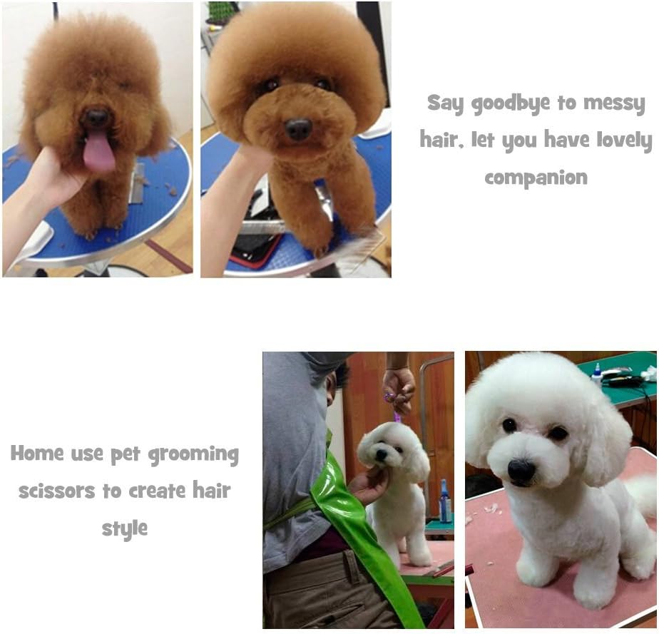 Professional Dog Grooming Scissors Set, 7.0/8.0 Inches Stainless Steel Dog/Cat Hair Curved Shears | Straight Thinning Scissors Suit Kit with Pet Grooming Comb