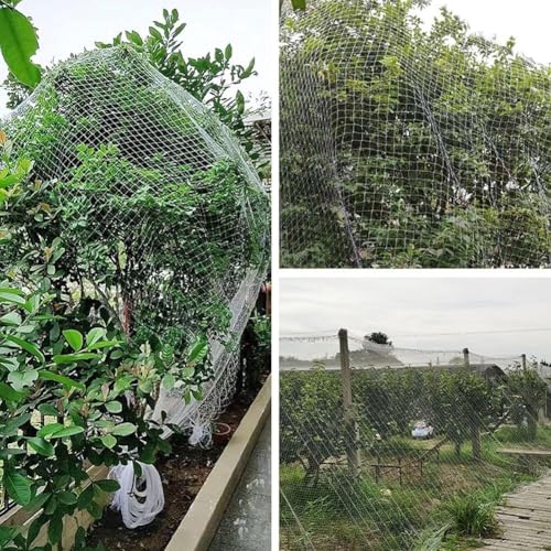 Red prémium para pájaros para jardín y árboles frutales, malla antipájaros de 30 m, para plantas y arbustos, protección de balcón y malla translúcida de 2 cm