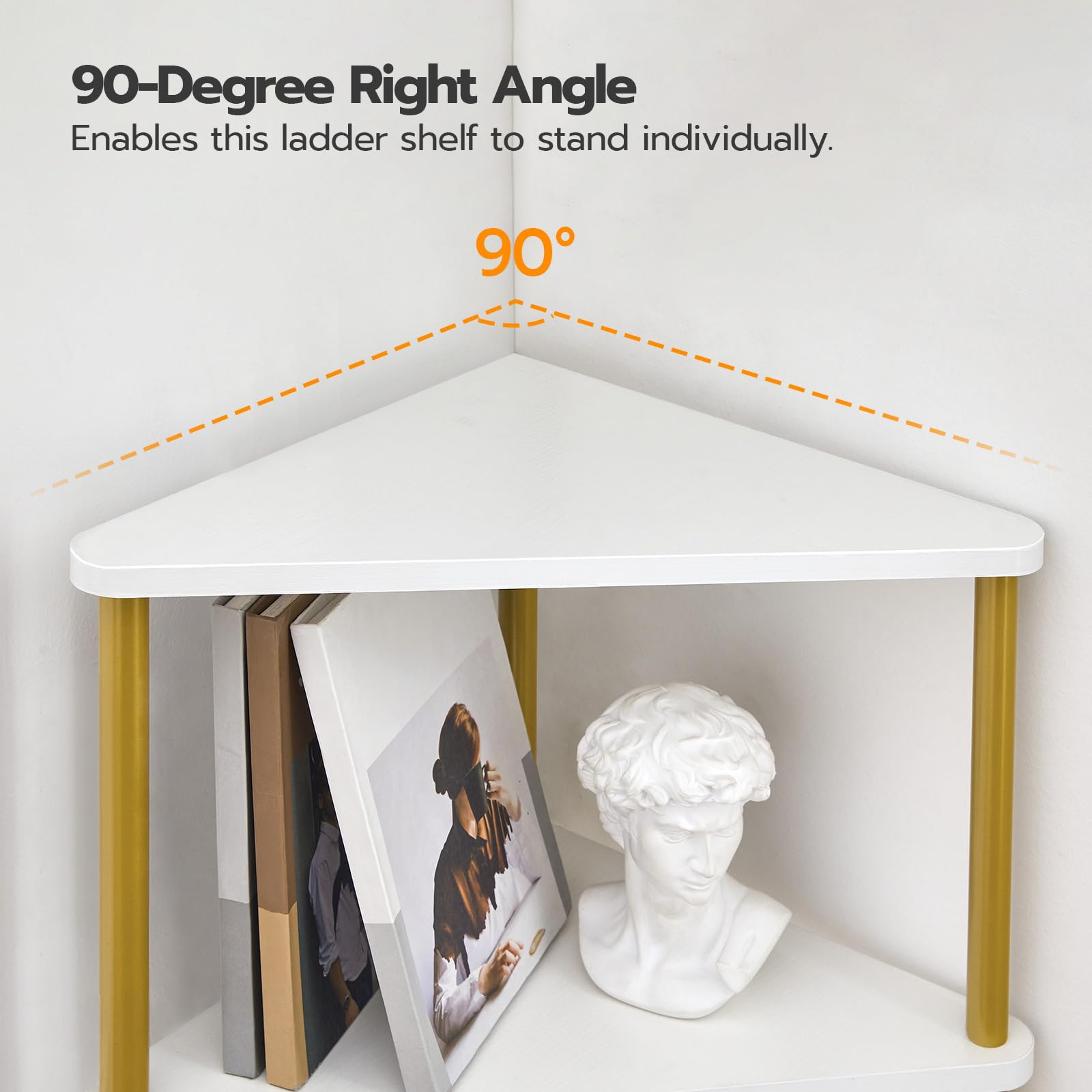 https://m.media-amazon.com/images/I/61IMlo8e3lL.jpg