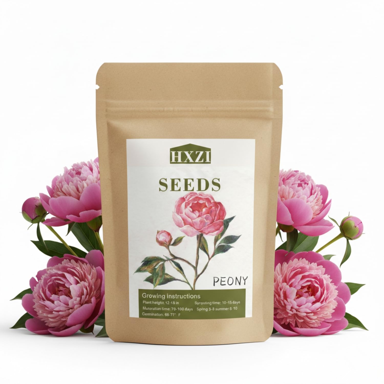 Peony Seeds, 50+ Cotton Candy Peony Mix Seed for Planting, Flower Seeds for Planting