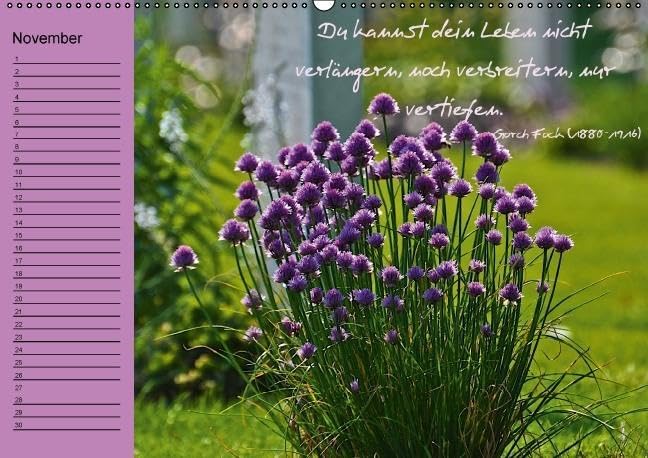 Vergiss mein nicht Geburtstagskalender (Wandkalender immerwährend DIN A2 quer): Immerwährender Terminkalender mit bildschönen Blumenmotive und ... ... Lebensweisheiten (Monatskalender, 14 Seiten)