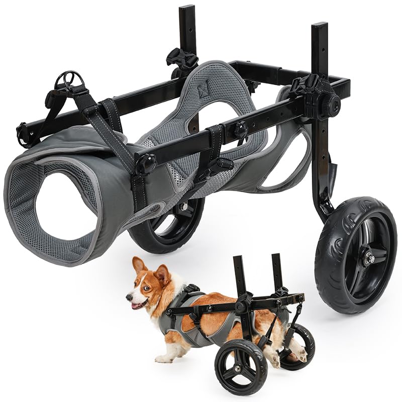 Duuclume Dog Wheelchair for Back Legs, Adjustable Dog Wheelchair for Medium Large Sized Senior, Disabled, Recovering Dogs to Support Leg Brace and Hip (L)