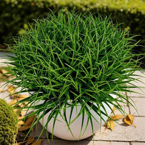 Gipsot 15 Bundles Artificial Plants Faux Monkey Grass UV Resistant No-Fade
