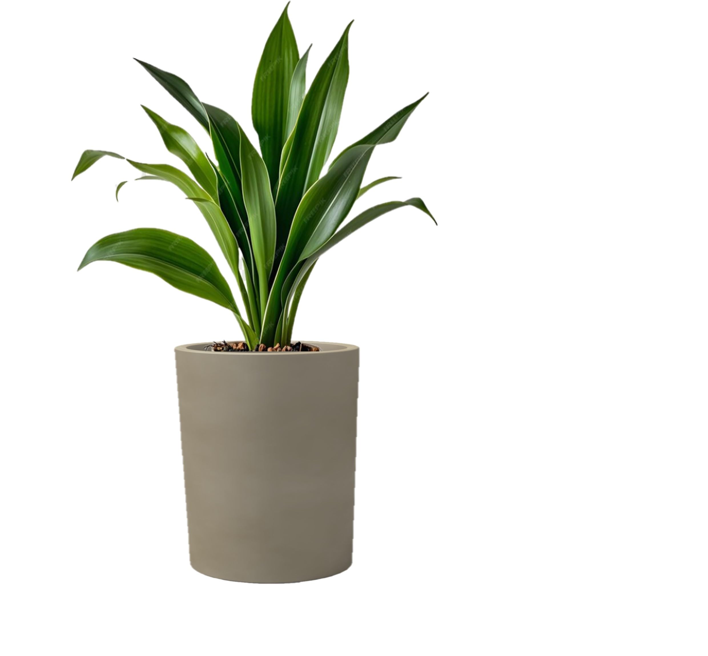 Pot de fleurs Kloris Baroque 40 cylindrique extérieur intérieur Ø35cm