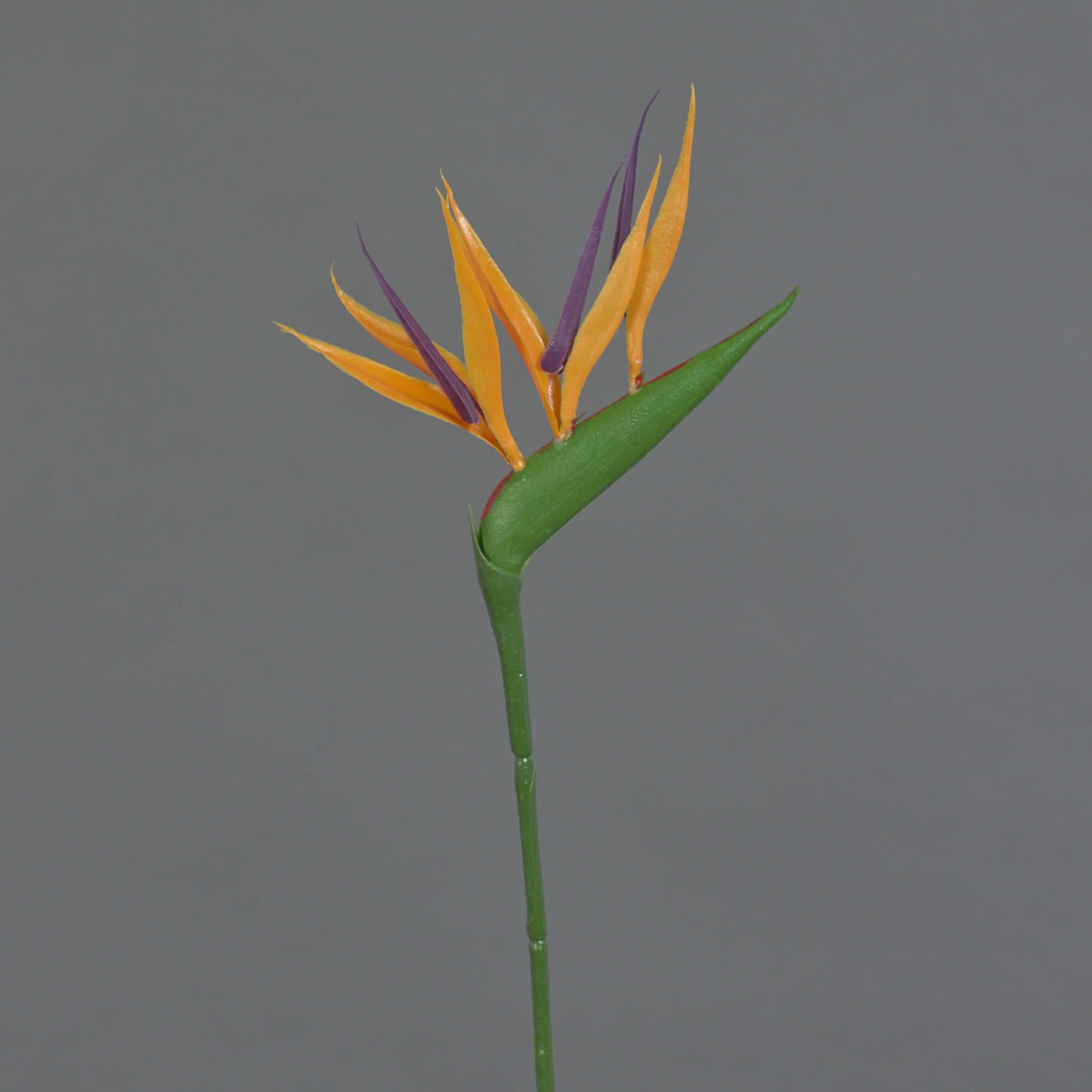 artplants.de Fake strelitzia ZETKIN, orange-violet, 26"/65cm - Artificial flowers/Plastic strelitzia