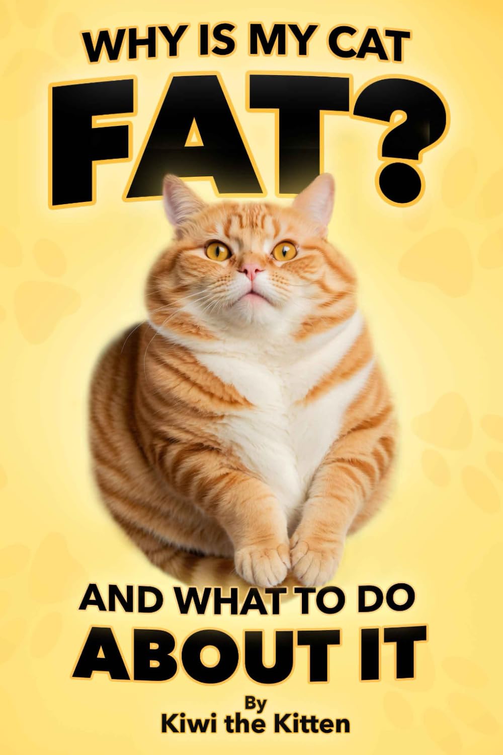 Why Is My Cat Fat? And What To Do About It