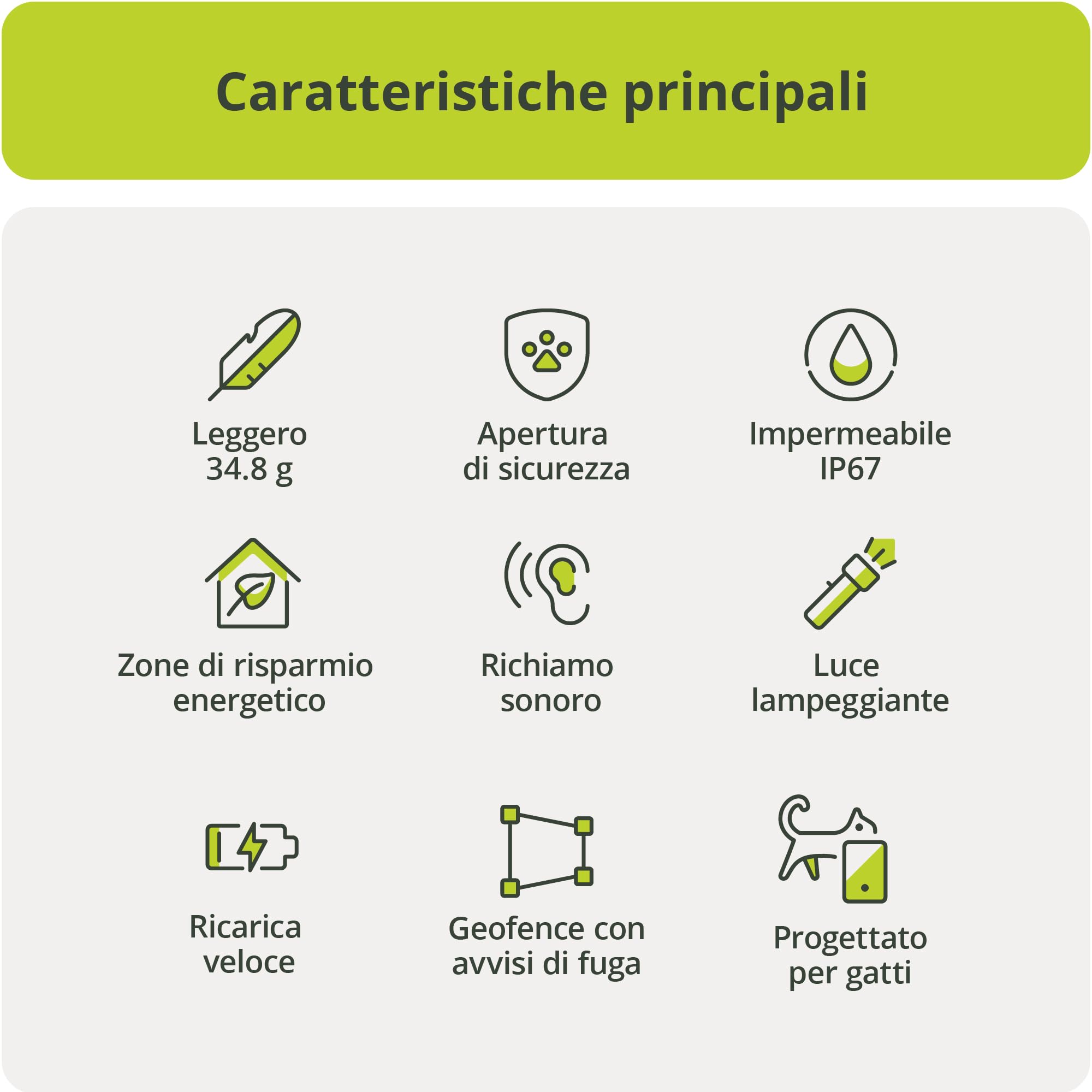 Kippy Cat V2 - Collare GPS per Gatti - Localizzatore e Tracker di Salute e Attività con Sistema Antistrozzo - Crea Confini Virtuali
