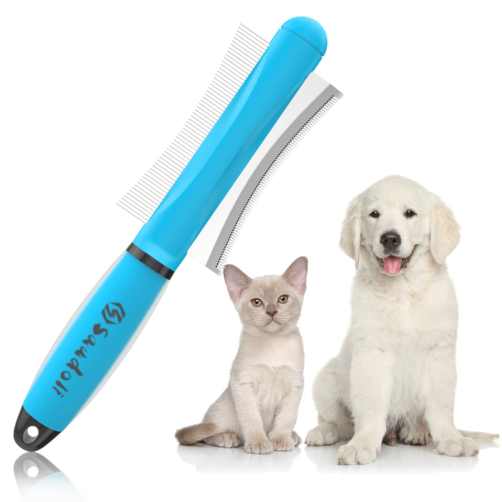 Can Short Haired Dogs Be Groomed