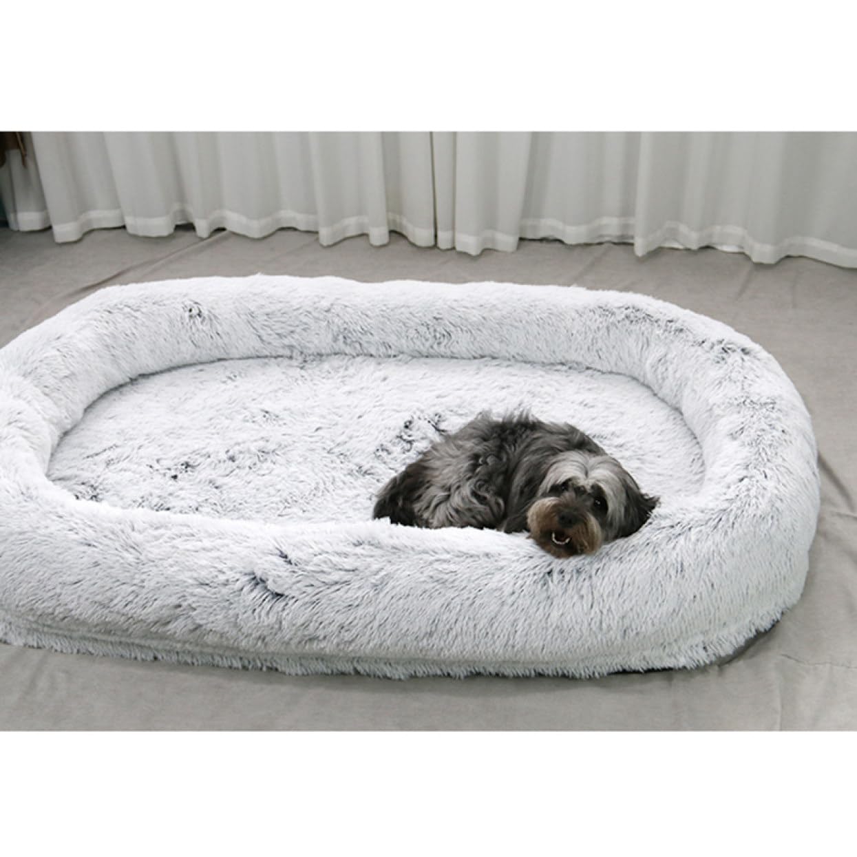 Amazon | [イノヤ] 人間の犬用ベッド グレー 人間用ドッグベッド  