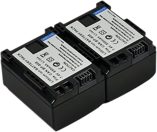 BTBAI Compatible bp-809 Battery for bp-819 bp-827 Digital Camera Video Camcorder (2X Battery+Charger AC Dual)
