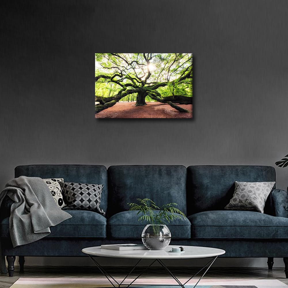 Angel Oak Tree Large Canvas Wall Art - Image 4