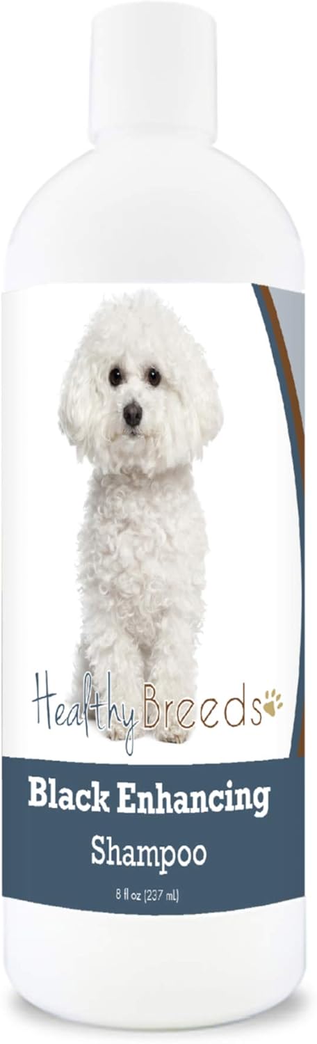 Bichon Frise Shampoo Review: 5 Best Picks Now