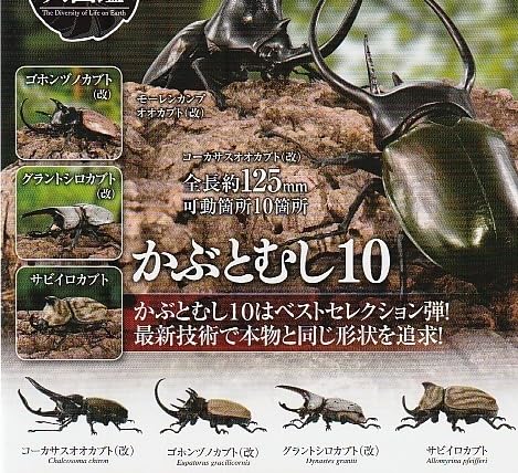 いきもの大図鑑 かぶとむし10 全5種セット カプセルトイ フィギュア
