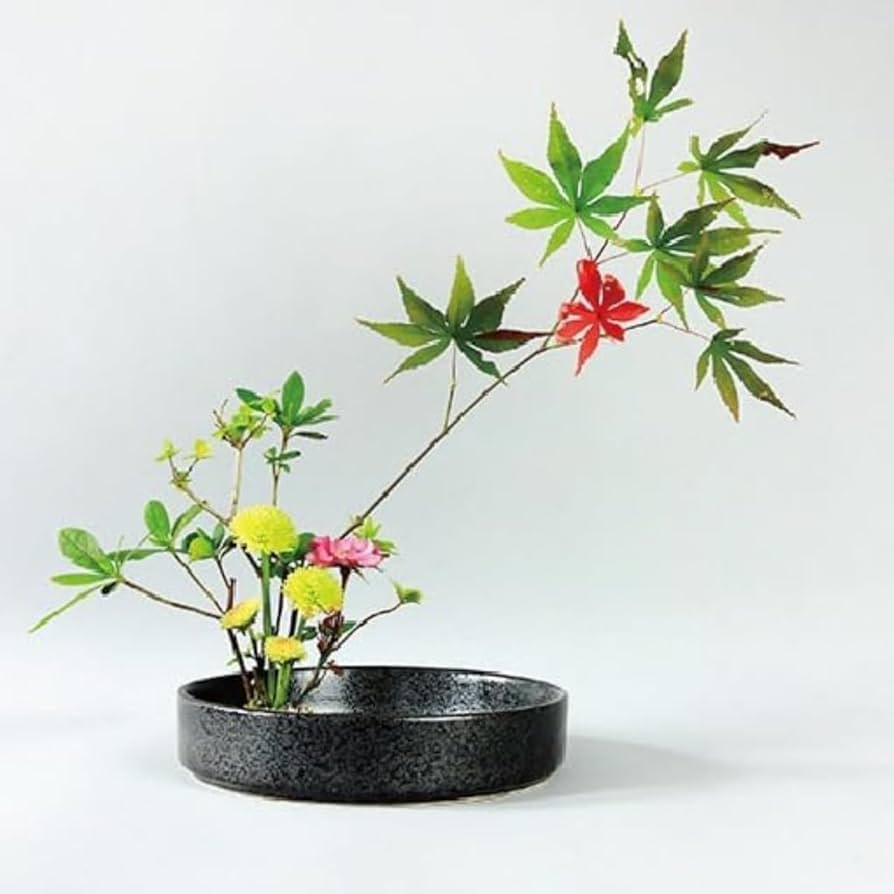 Amazon.co.jp: 陶器剣山花器小原流 禅テイスト 和風水盤いけばな 円形