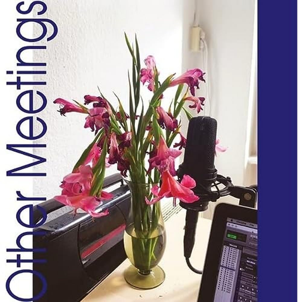 Other Meetings [VINYL]