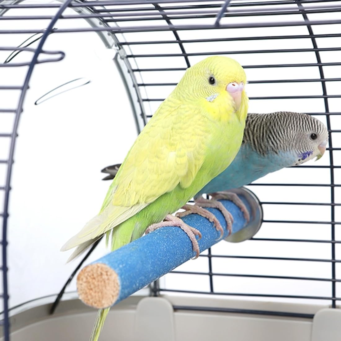 Wooden Bird Perch Cage Toy Colorful Parrot Stand Paw Claw Grinding Chew Toy Pet Bird Parrot Macaw African Greys Budgies Parakeet Cockatiels Conure