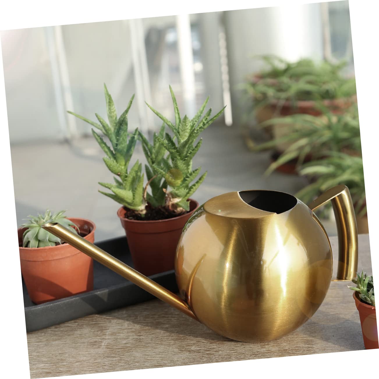 Konewka, Butelka na wodę ze stali nierdzewnej Metalowa konewka Konewka do Bonsai w pomieszczeniach Konewka do Bonsai Konewka do roślin domowych Rośliny Podlewanie zraszacz Czajnik Urządzenie do podlew