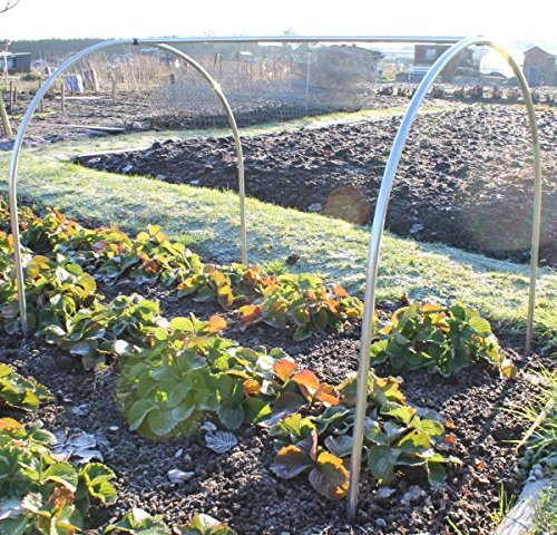 Small High Top Hoop Portable Domed Aluminium Tunnel Multiple Sizes (3.6m, Green Bird Netting)