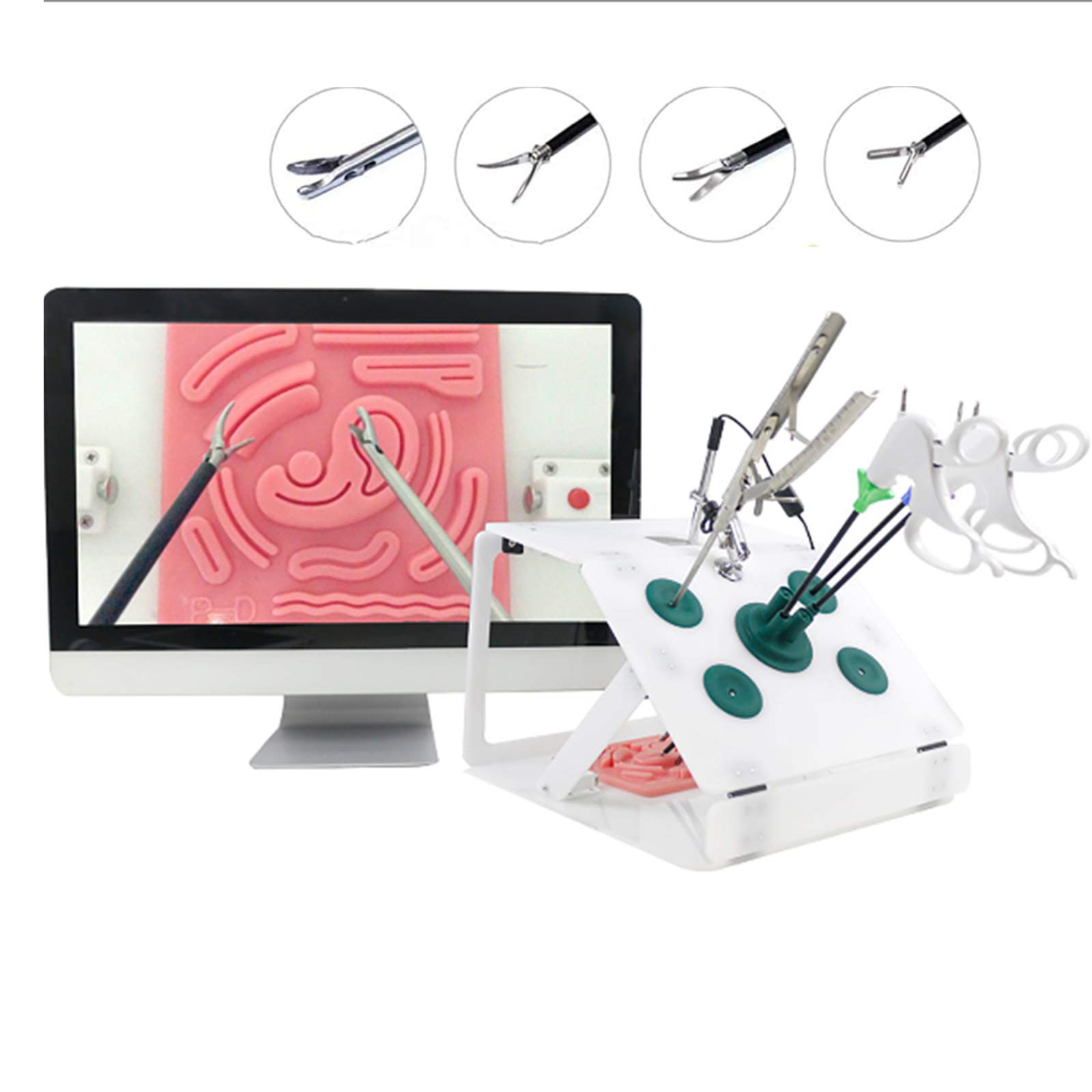 Buy WFWPY Laparoscopy Simulation Training Box Kit with 5 Training Model