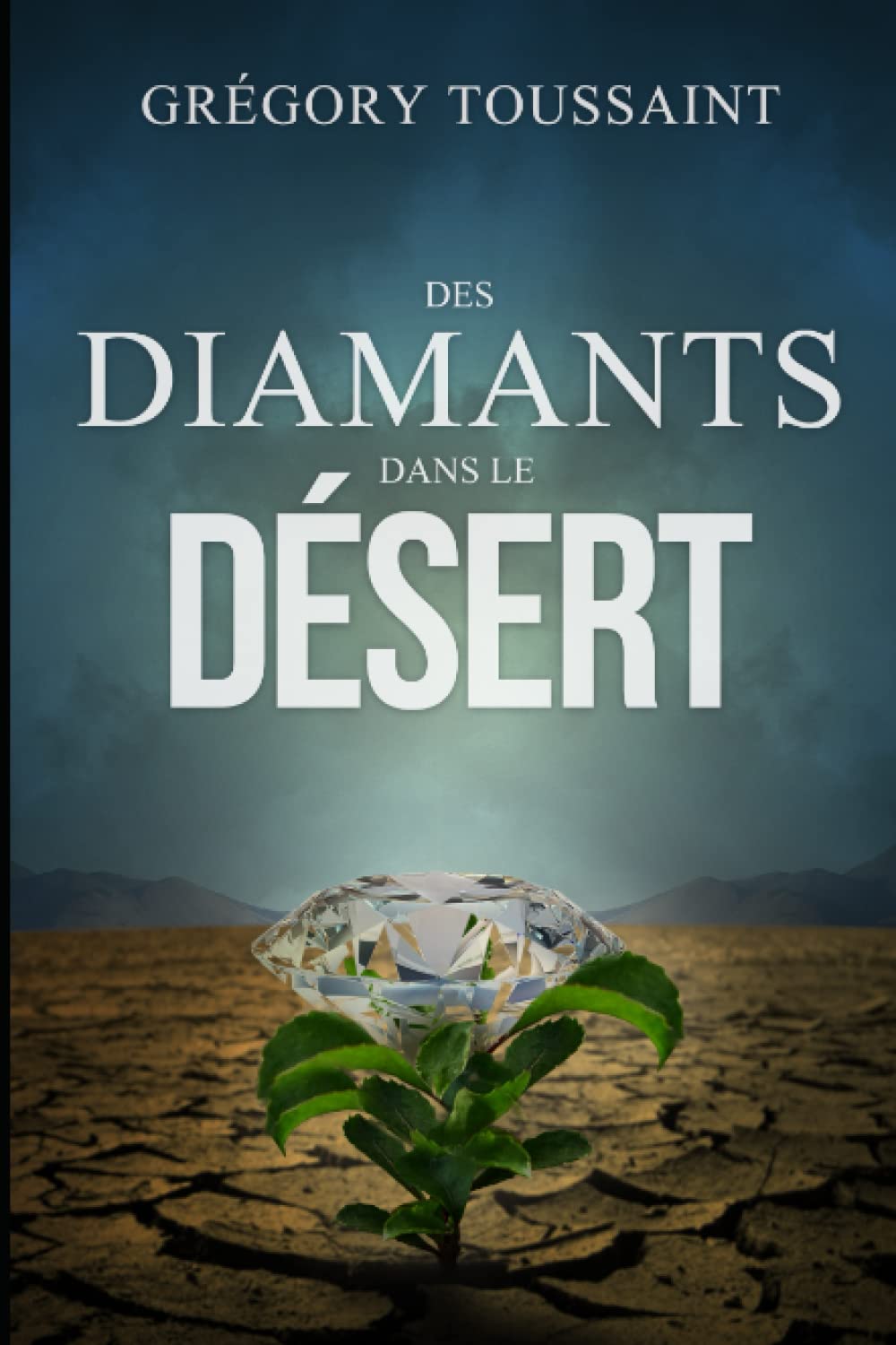 Des Diamants dans le Désert (French Edition)
