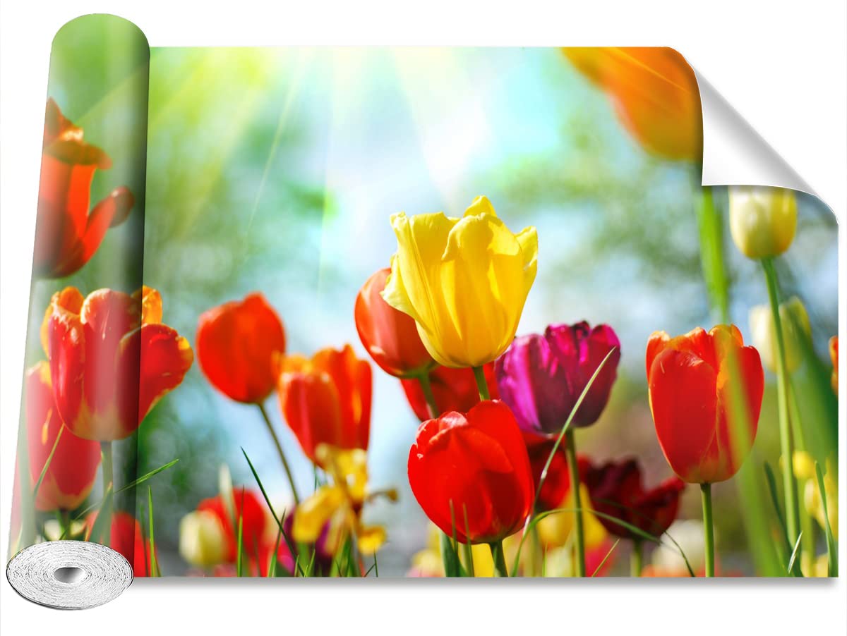 Papier peint tulipes pour salon moderne et décoration de maison