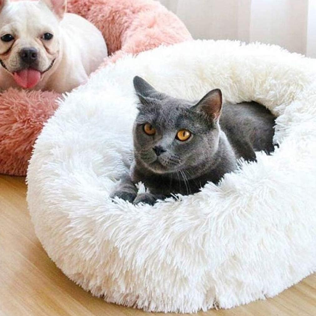 萬龍堂造　玉泉仙史 蘭紋「幽香清韻」丸形小鉄瓶　小振り　小ぶり 萬龍堂造 玉泉仙史 蘭紋「幽香清韻」丸形小鉄瓶 小振り 小ぶり 萬龍堂